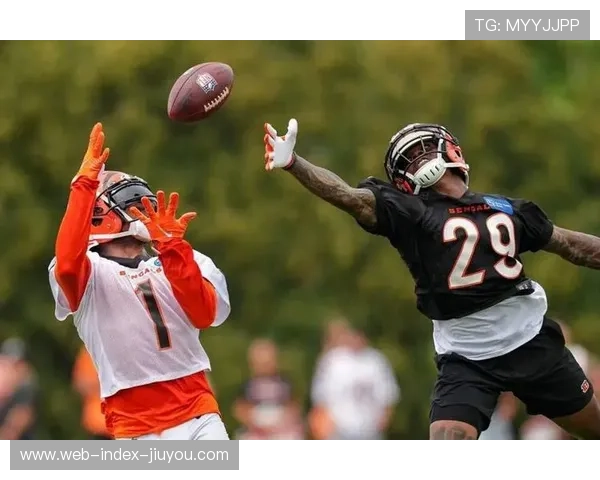 老鹰分区赛28比22战胜公羊晋级国联决赛会师指挥官